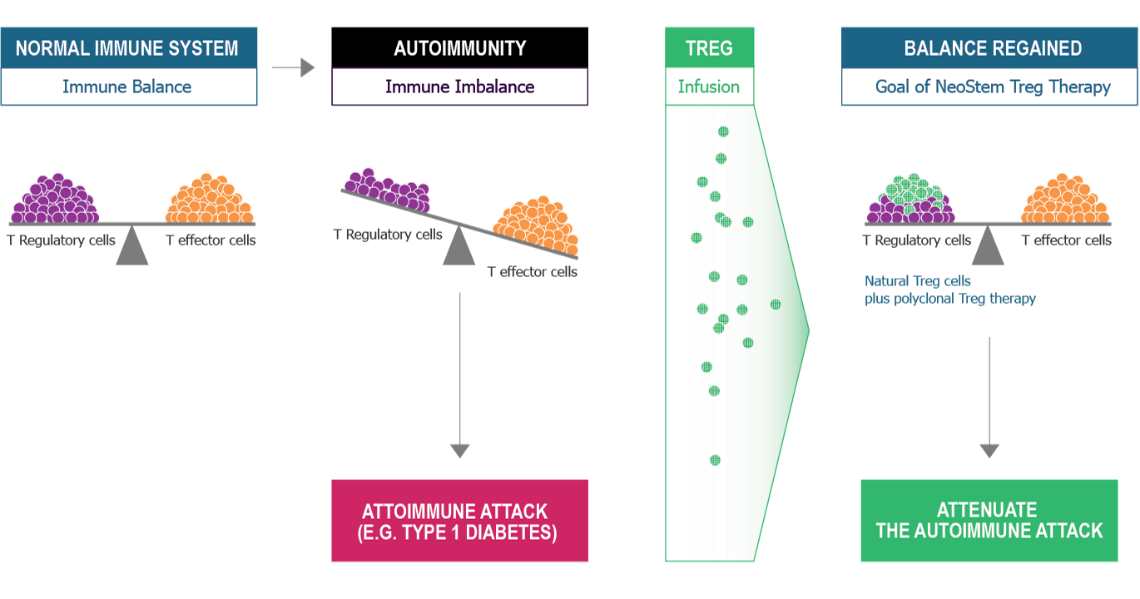 Immune Modulation Program Graphic