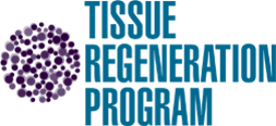 Tissue Generation