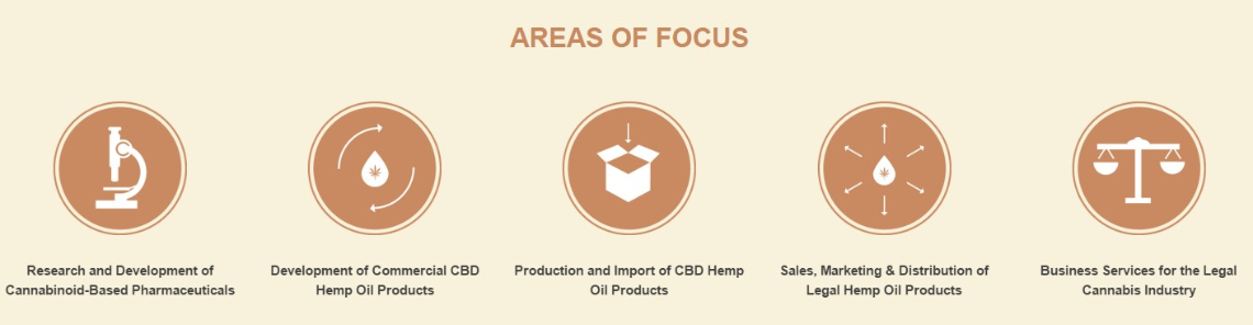 Areas of focus