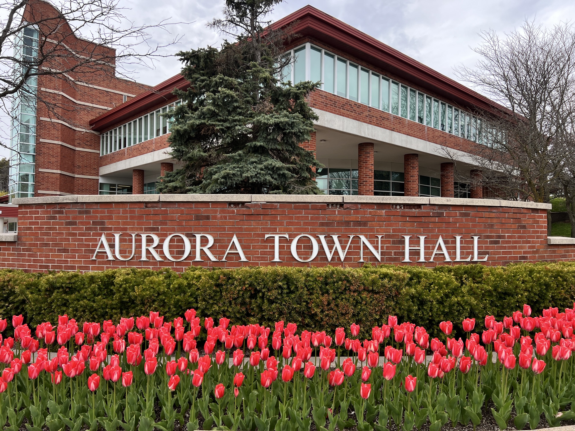 Coming Up at Council: Aurora council returns with cannabis retail review, storm recovery on agenda Coming Up at Council: Aurora council returns with cannabis retail review, storm recovery on agenda