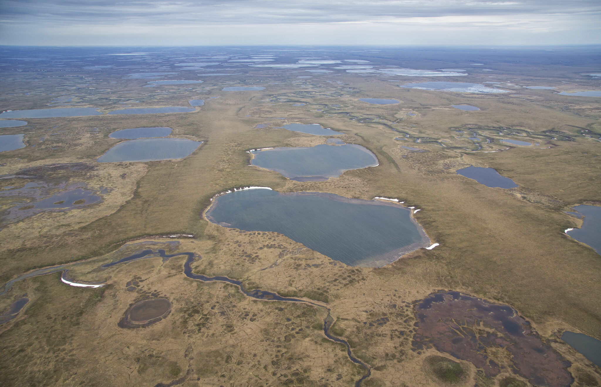 Feds seek to ‘streamline’ Arctic oil permitting, ending environment studies of individual projects Feds seek to ‘streamline’ Arctic oil permitting, ending environment studies of individual projects