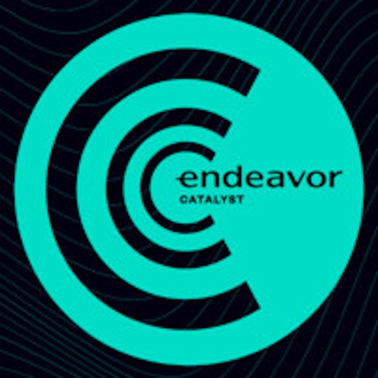 Endeavor Catalyst-Backed European Companies Raise More Than .3 Billion Across 2025 And F Endeavor Catalyst-Backed European Companies Raise More Than .3 Billion Across 2025 And F