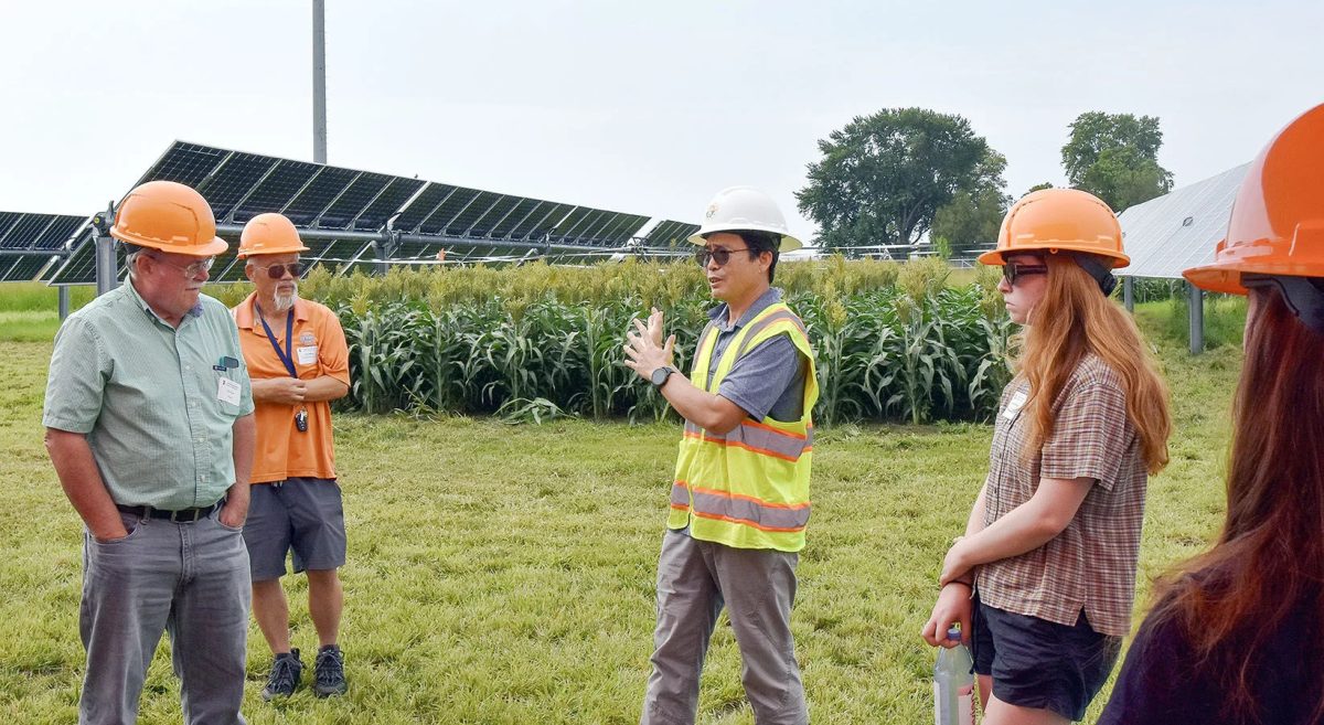 What to know about farming with solar panels What to know about farming with solar panels