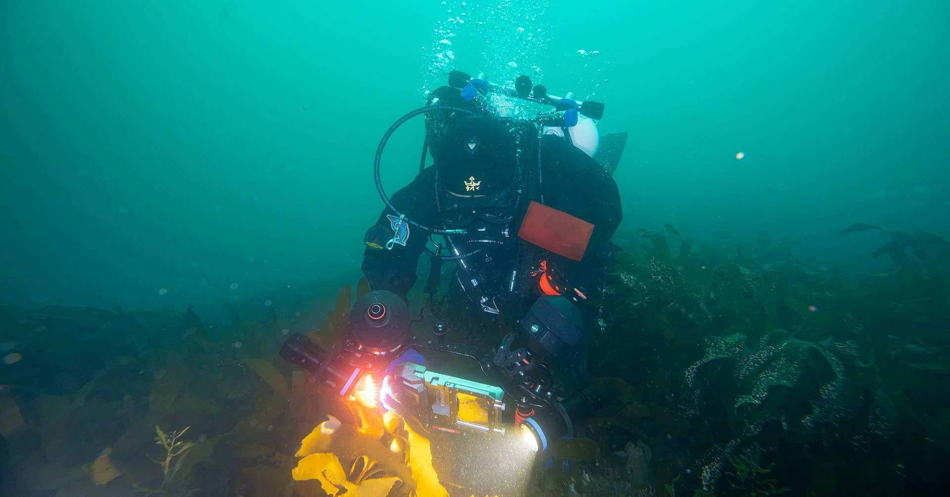 ‘Slumping’ South Korean corals worry divers, scientists studying climate change ‘Slumping’ South Korean corals worry divers, scientists studying climate change