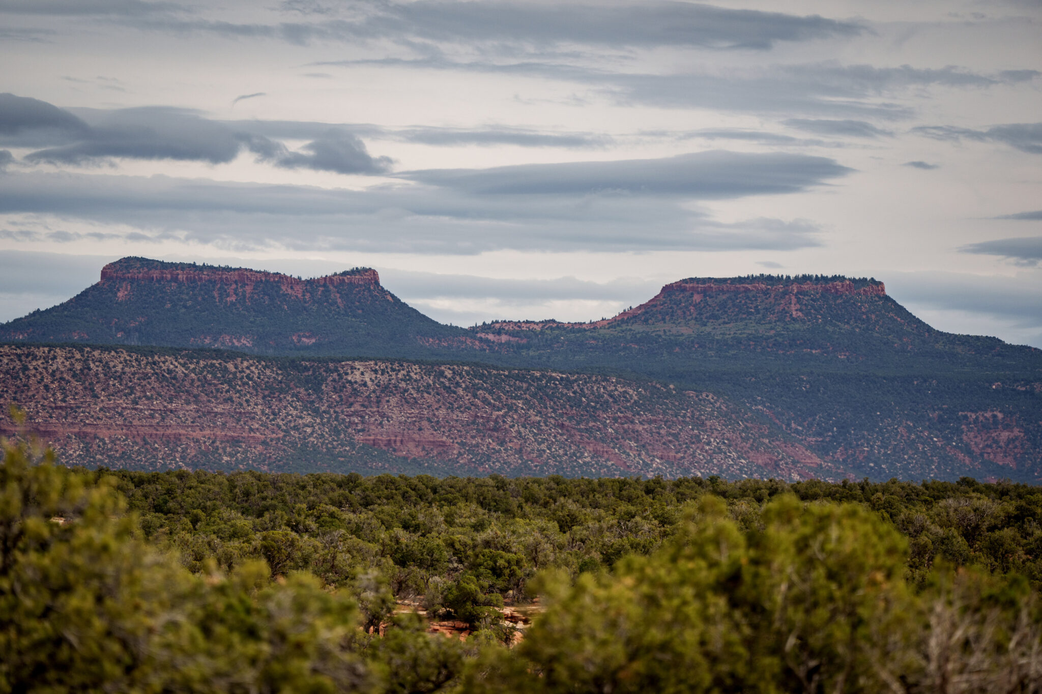 Patagonia, environmental groups revive old legal fights against new cuts to national monuments