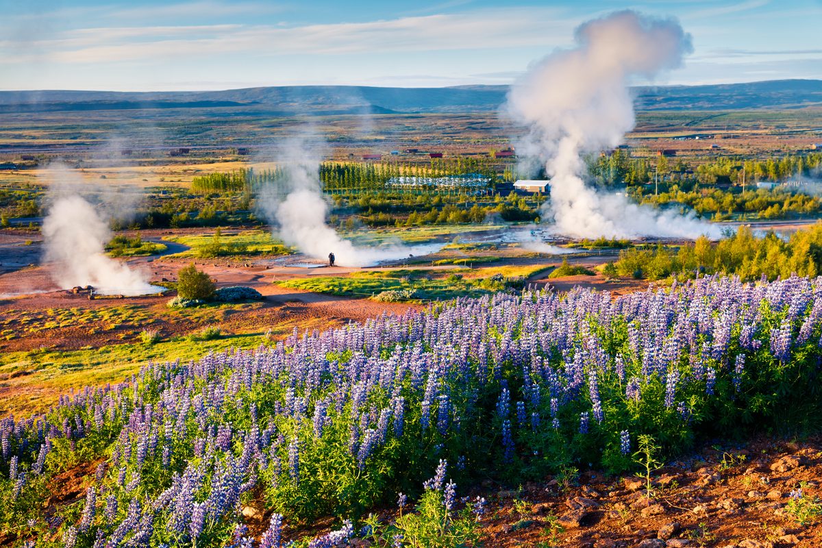 “Hot mud, boiling – bubbling – pools where nothing survives, sulphur-stinking vents and eruptions of steam that blast metres into the sky” “Hot mud, boiling – bubbling – pools where nothing survives, sulphur-stinking vents and eruptions of steam that blast metres into the sky”
