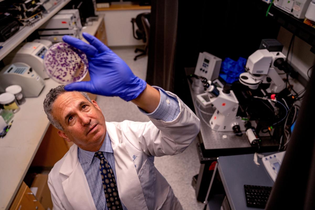 AI is unlocking a new ‘golden age’ in medicine, with personalized treatments to cure cancer and potential to save billions of lives