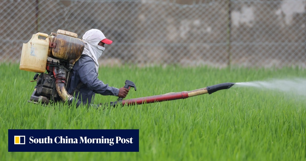 Southeast Asia’s extreme heat exposes holes in safety net for outdoor workers