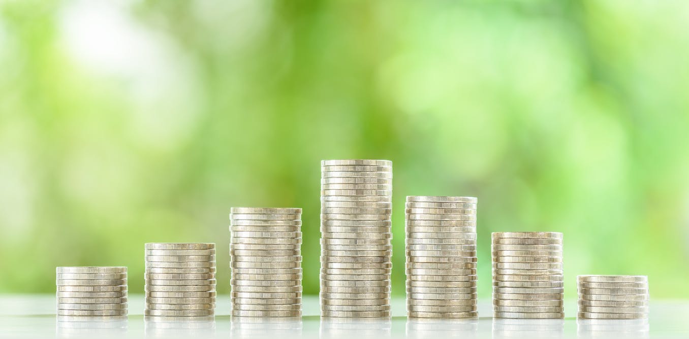 Investments promising social or environmental benefits need tougher anti-greenwashing rules Investments promising social or environmental benefits need tougher anti-greenwashing rules