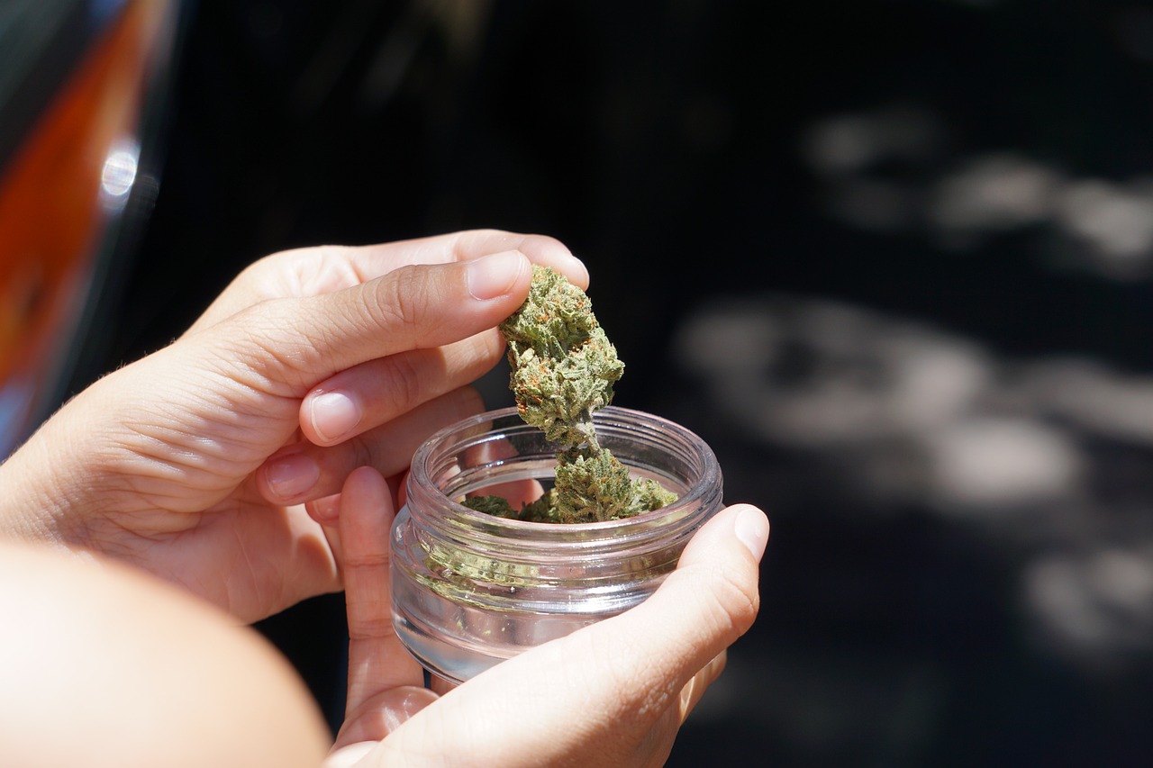 California cannabis sales generate 1.7 million in second-quarter taxes California cannabis sales generate 1.7 million in second-quarter taxes
