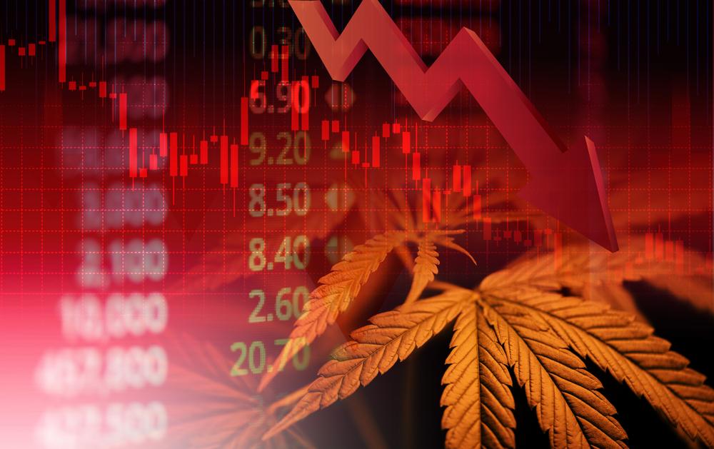 IM Cannabis (NASDAQ:IMCC): What Matters When Trading Resumes? IM Cannabis (NASDAQ:IMCC): What Matters When Trading Resumes?