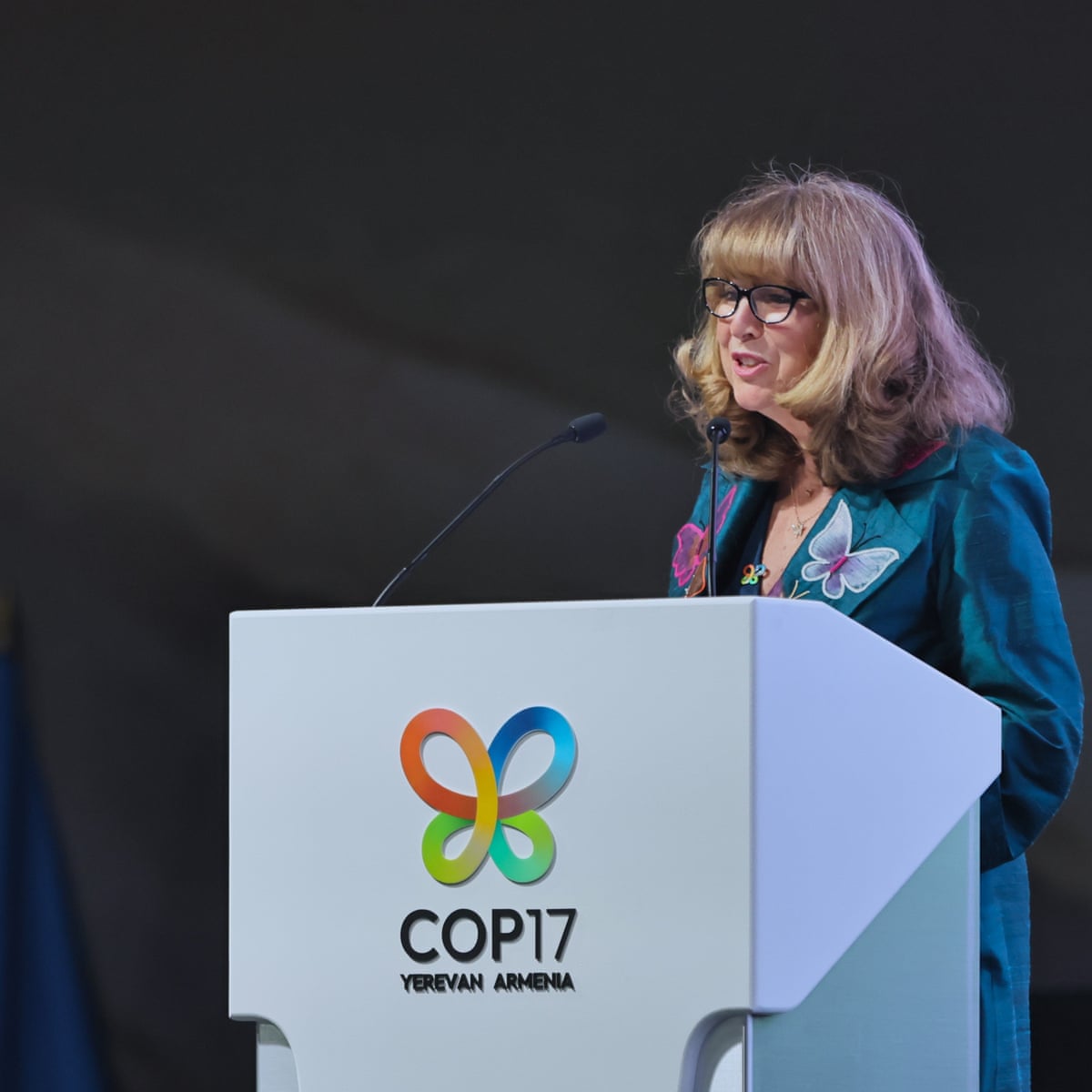 At Cop17, the pressure is on to rescue a deal that could end the destruction of nature