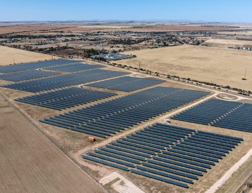 Australian solar drives renewables to record 80.4% share of NEM generation