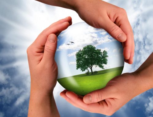 Investors Expect Modest Growth in Sustainable Allocations