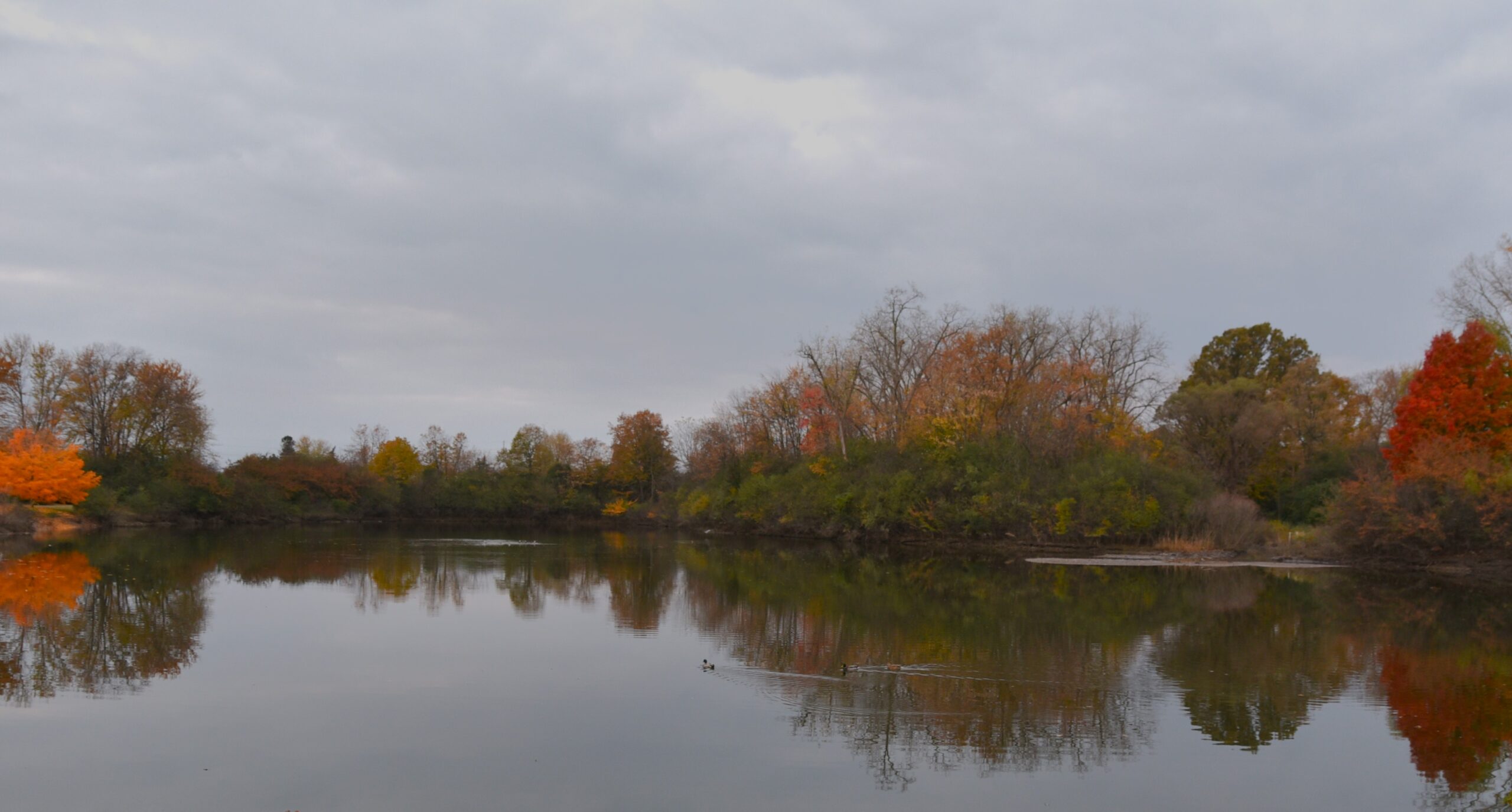 James campaign talks environmental policies in Macomb County